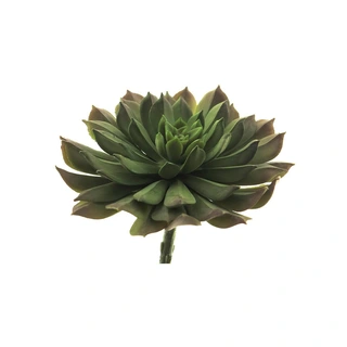 Kunstplant Aeonium Pick Groen - 15 cm| De Boet