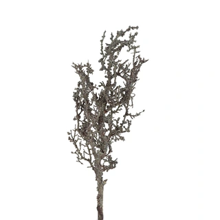 Countryfield Kunsttak Lichenes - Zwart | De Boet