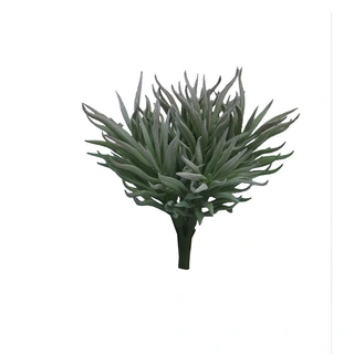 Kunstplant Crassula Himalaya Pick Grijs - 15 cm| De Boet