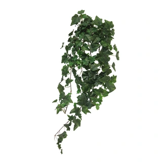 Kunstplant Ivy Chicago Hanger L Groen - 86 cm| De Boet