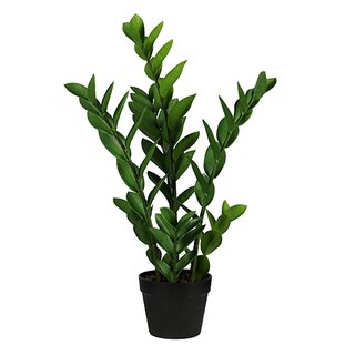 Kunst Zamioculcas - 65 cm