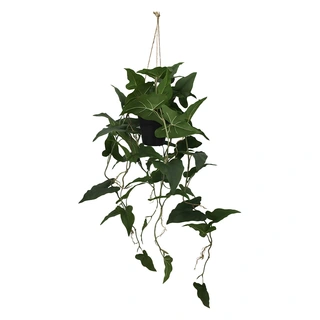 Kunstplant Hedera Punt Hang - 105 cm | De Boet