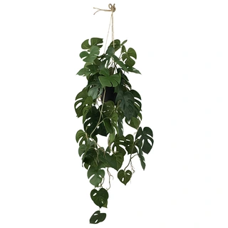 Kunstplant Monstera Hang - 105 cm | De Boet