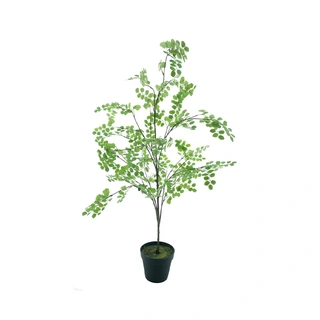 Kunstplant Button Leaf Tree in Pot - 175 cm | De Boet