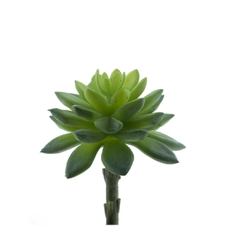 Kunstplant Echeveria Pick It Groen - 13 cm| De Boet