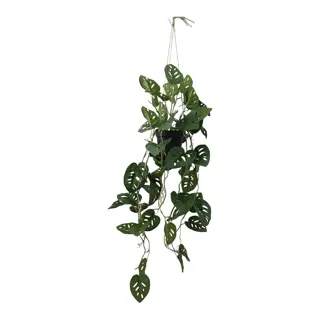 Kunstplant Monstera Mask Hang - 105 cm | De Boet