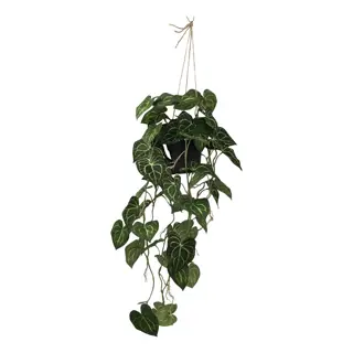 Kunstplant Philodendron Hang - 105 cm | De Boet