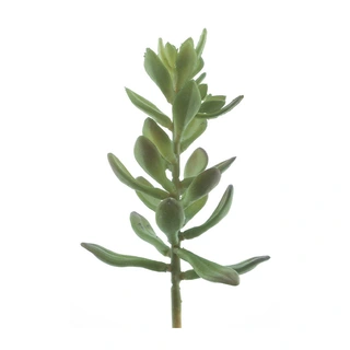 Kunstplant Sinocrassula Pick Guanita Groen - 20 cm| De Boet