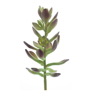 Kunstplant Sinocrassula Pick Guanita Rood/Groen - 20 cm| De Boet
