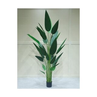 Kunstplant Strelitzia Smal Cm Tuincentrum De Boet