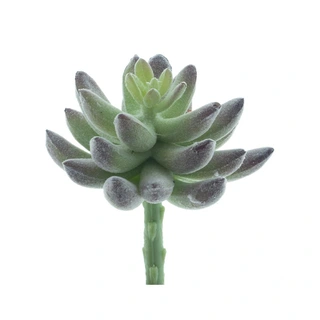 Kunstplant Succulent Pick Guanita Flocked Groen - 13 cm| De Boet