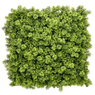 Kunstplanten Mat 50x50 cm - Houttuynia Cordata | De Boet