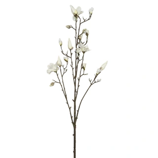 Kunsttak Magnolia Spray Cream - 155 cm | De Boet