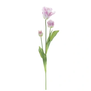 Kunst Parrot Tulp 3x 71 cm - Lavendel | De Boet