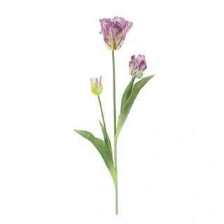 Kunst Parrot Tulp 3x 71 cm - Paars | De Boet