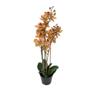 Kunst Phalaenopsis Orchidee In Pot x3 60 cm - Tiger Yellow