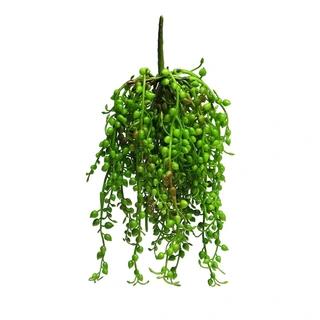 Kunstplant Senecio Rowleyanus Hanger Groen - 25 cm| De Boet