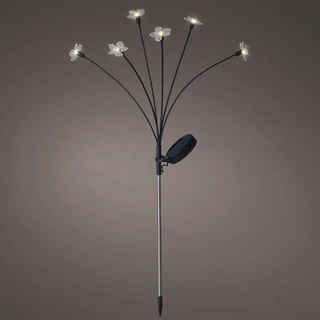 Solar Tuinsteker Zwart Bloem 70 cm - Warm Wit | De Boet