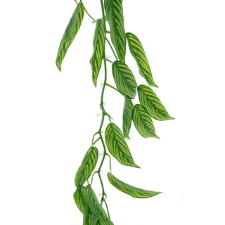 Kunsttak Spathiphyllum Garland Groen/Wit - 165 cm| De Boet