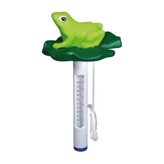 BSI Thermometer Kikker | Tuincentrum De Boet