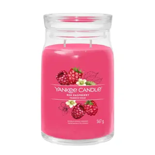 Yankee Candle Red Raspberry - Large | De Boet