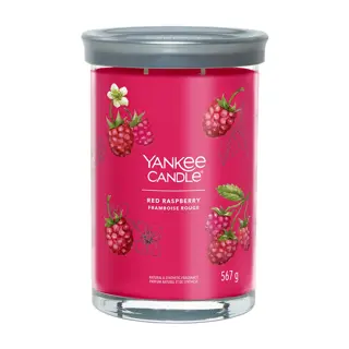 Yankee Candle Red Raspberry - Large Tumbler | De Boet
