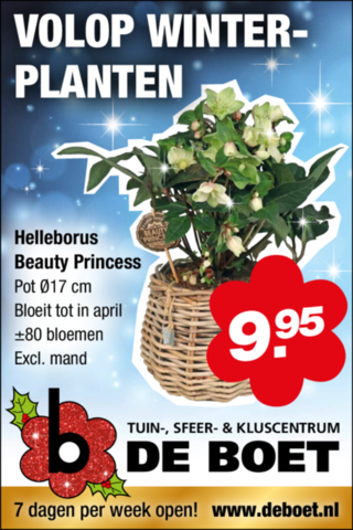 Volop winterplanten