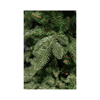 Triumph Tree Abies Nordmann Deluxe Dark Green - 185 cm - afbeelding 2