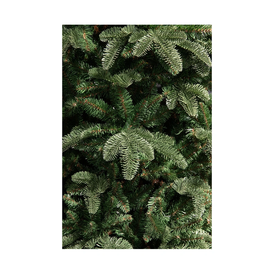 Triumph Tree Abies Nordmann Deluxe Dark Green - 185 cm - afbeelding 3