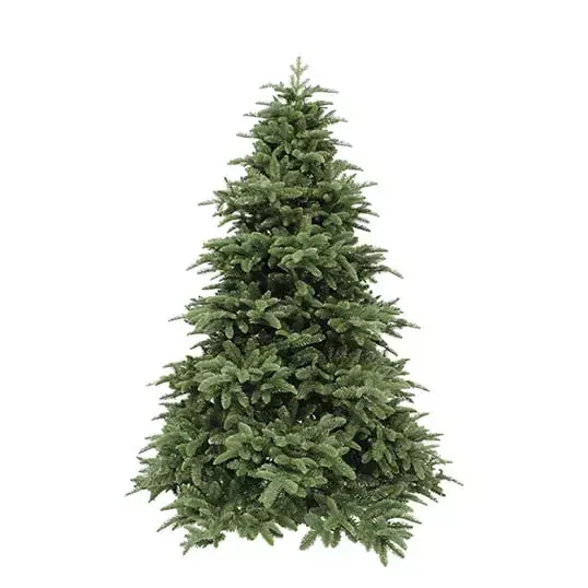 Triumph Tree Abies Nordmann Deluxe Green - 215 cm