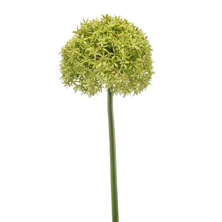 Kunstbloem Allium Giant Groen - 90 cm