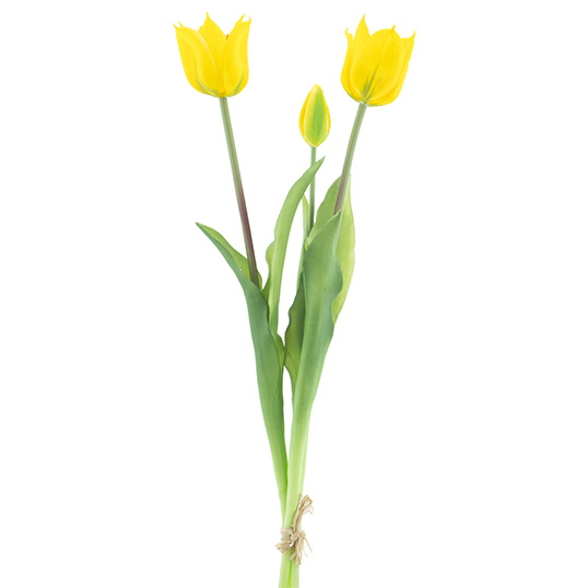 Amara tulip bundle  x3 yellow 48 cm