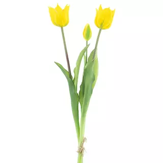 Amara tulip bundle  x3 yellow 48 cm