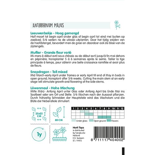 Horti Tops Antirrhinum, Leeuwenbekje hoog gemengd - afbeelding 2