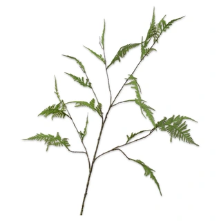 Silk-ka Kunsttak Asparagus Groen - 124 cm