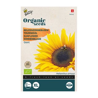 Buzzy® Organic Helianthus, Reuzenzonnebloem giganteus  (BIO) - afbeelding 1