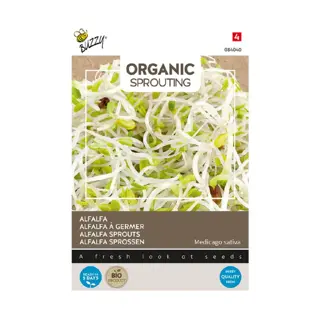 Buzzy® Organic Sprouting Alfalfa (BIO) - afbeelding 1