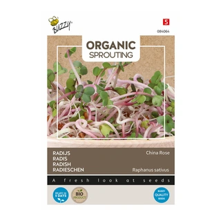 Buzzy® Organic Sprouting Radijs China Rose (BIO) - afbeelding 1