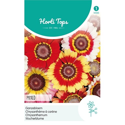 Horti Tops Chrysanthemum, Ganzebloem gemengd - afbeelding 1