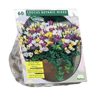 Baltus Crocus Botanisch Mix - 60 st.