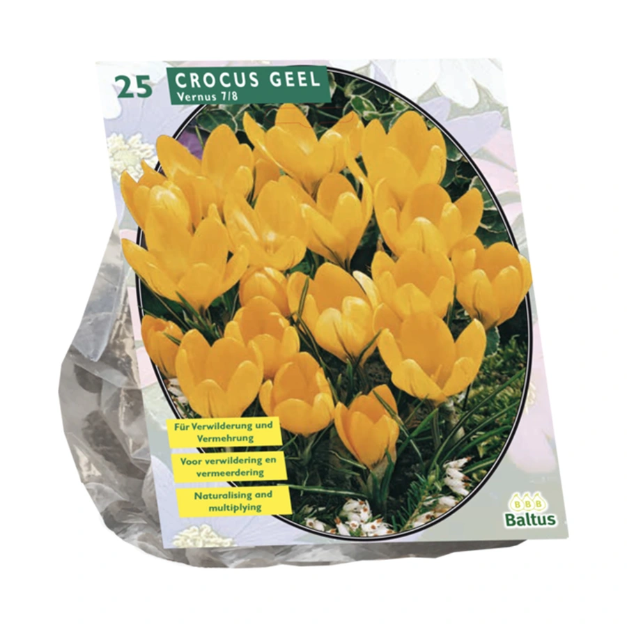 Baltus Crocus Grootbloemig Geel - 25 st.