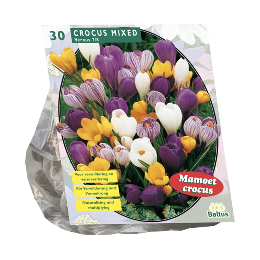 Baltus Crocus Grootbloemig Mix - 30 st.