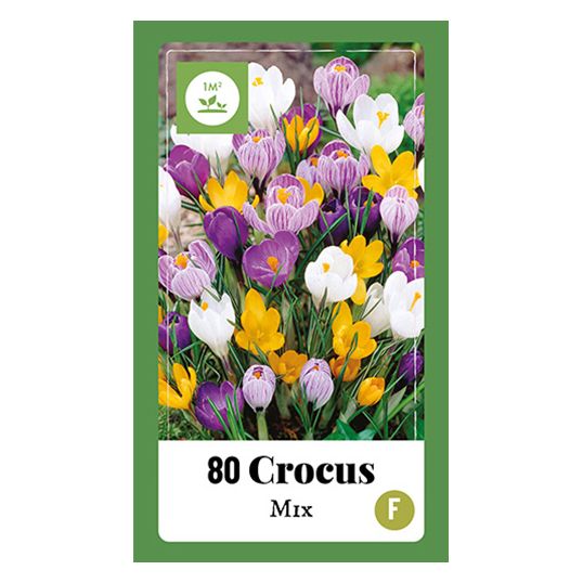 Crocus Mix - 80 st.