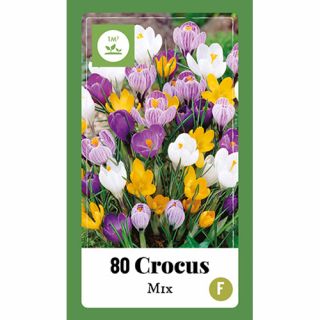 Crocus Mix - 80 st.