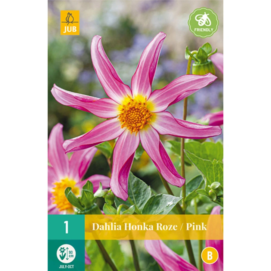 JUB Holland Dahlia Honka Roze - 1 st.