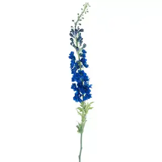 Giant Delphinium spray linus blue 137 cm