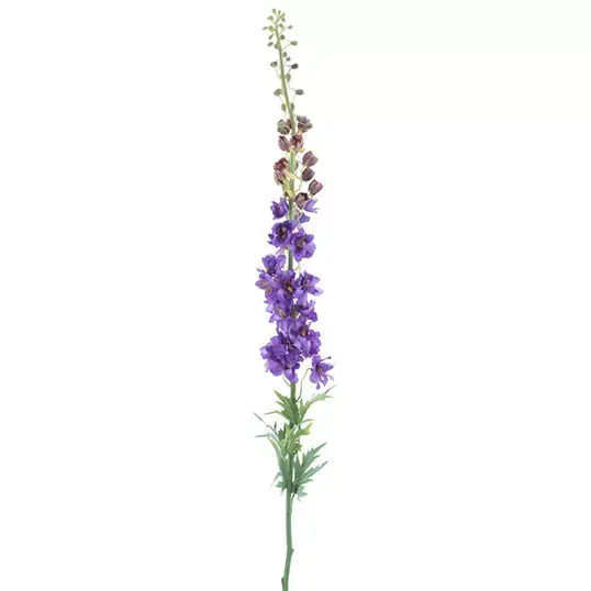 Giant Delphinium spray linus purple 137 cm