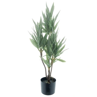 Kunstplant Dracaena in Pot Green Cream - 65 cm