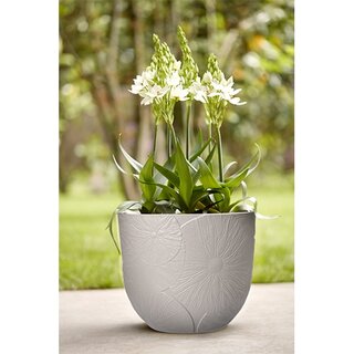 Elho Fuente Lily Rond Ø30 cm - Peble Grey - afbeelding 2