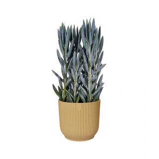 Elho Pot Vibes Fold Ø16 cm - Botergeel - afbeelding 2